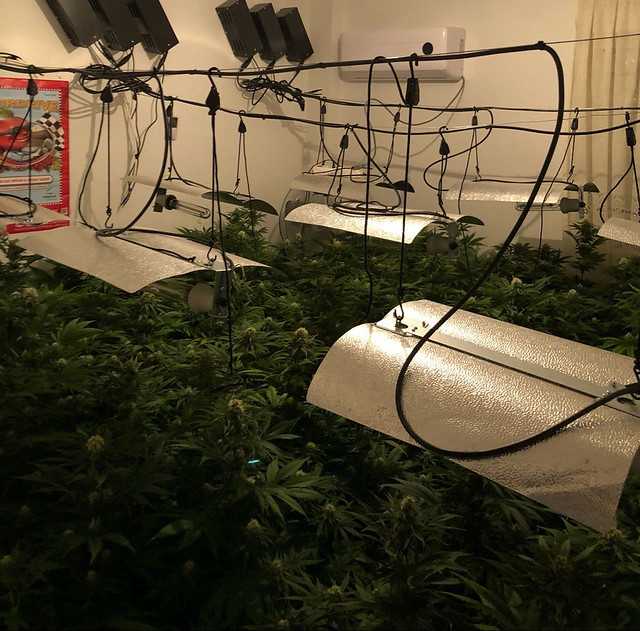 Policía Nacional operación contra la venta de sustancias estupefacientes