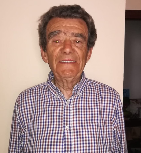 Manuel Pérez Bejines
