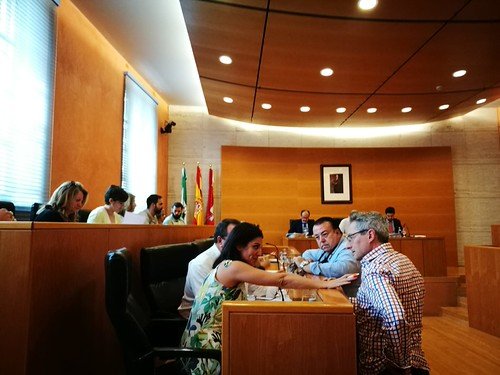 Pleno ordinario del mes de junio