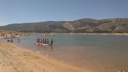 Campamentos de Verano Joven para niños y niñas de 8 a 11 años